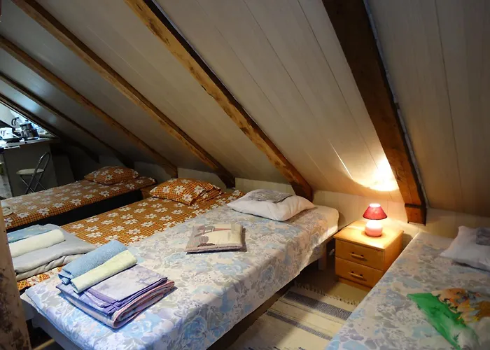 公寓 Frendlen Apartmend 派尔努