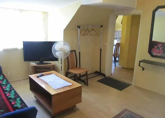 公寓 Frendlen Apartmend *