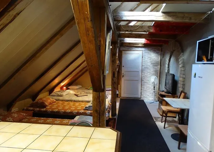 Frendlen Apartmend 公寓 派尔努