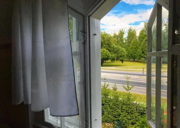 公寓 Frendlen Apartmend 派尔努